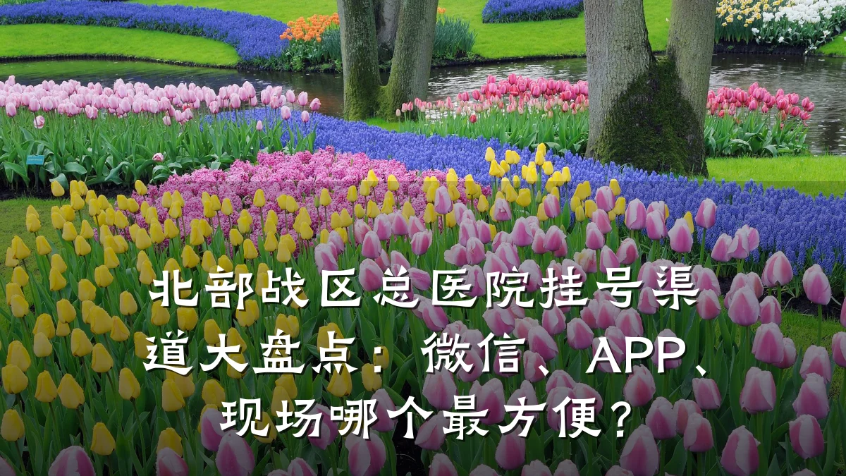北部战区总医院挂号渠道大盘点：微信、APP、现场哪个最方便？