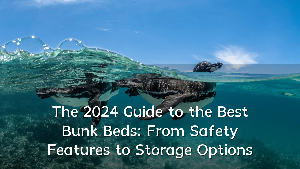 The 2024 Guide to the Best Bunk Beds: From Safety Features to Storage Options