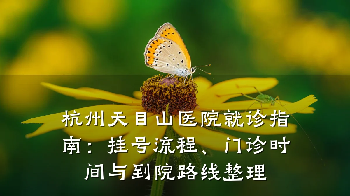杭州天目山医院就诊指南：挂号流程、门诊时间与到院路线整理