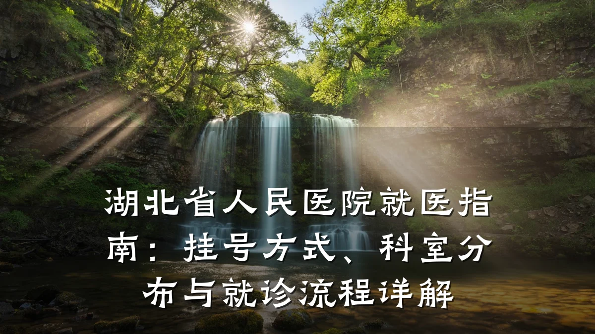 湖北省人民医院就医指南:挂号方式、科室分布与就诊流程详解