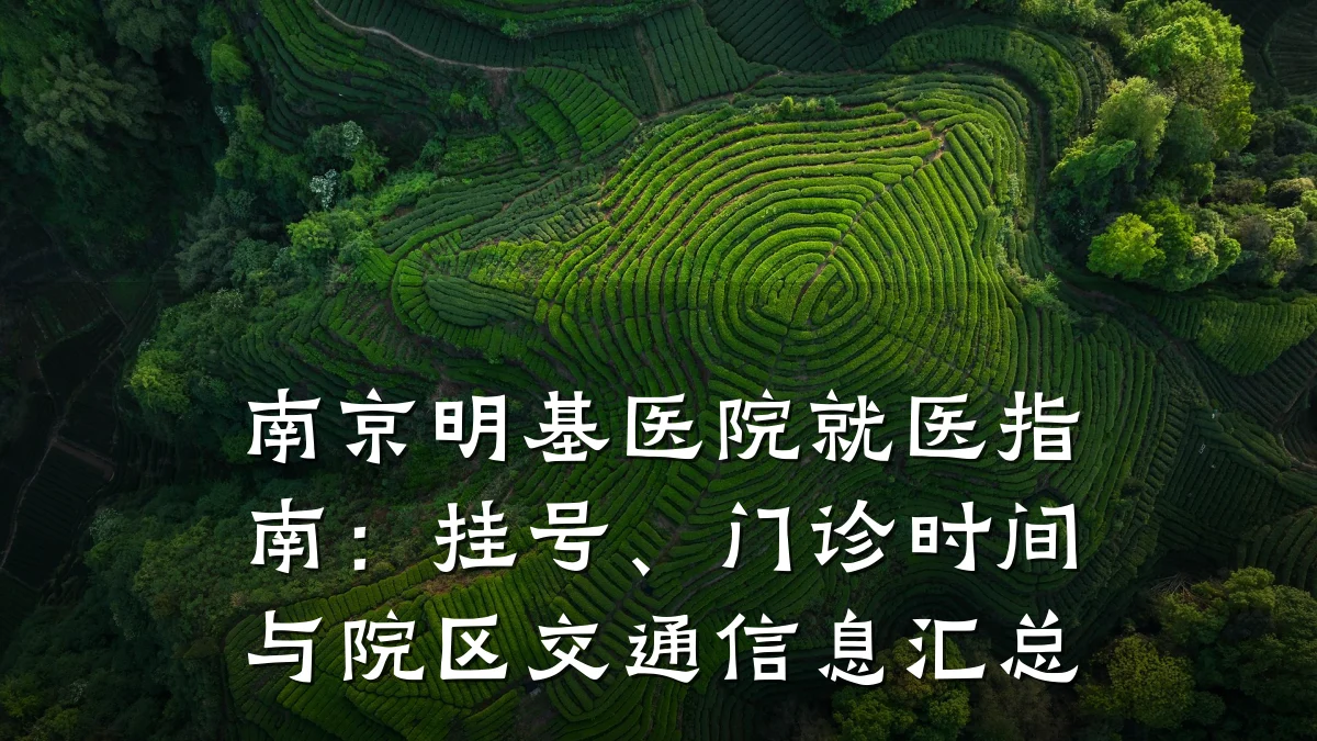 南京明基医院就医指南:挂号、门诊时间与院区交通信息汇总