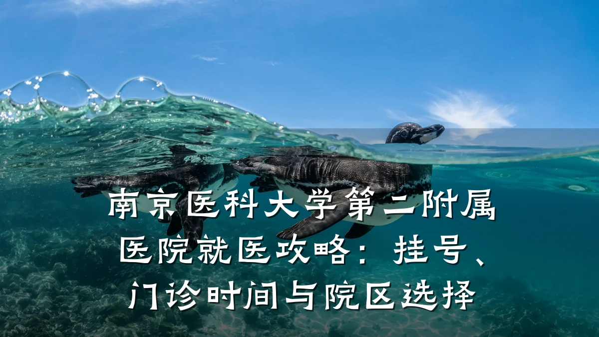 南京医科大学第二附属医院就医攻略:挂号、门诊时间与院区选择