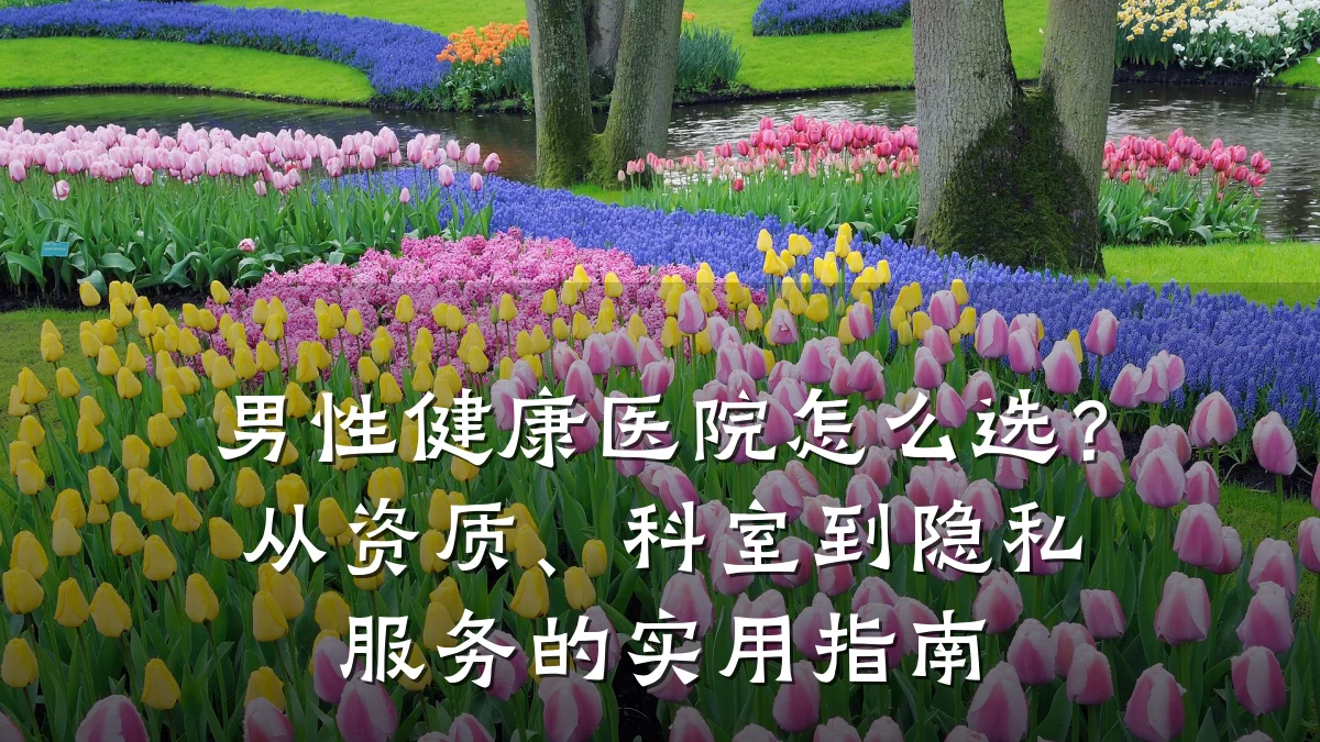 男性健康医院怎么选?从资质、科室到隐私服务的实用指南