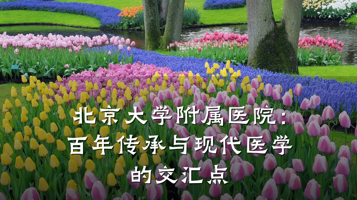 北京大学附属医院:百年传承与现代医学的交汇点