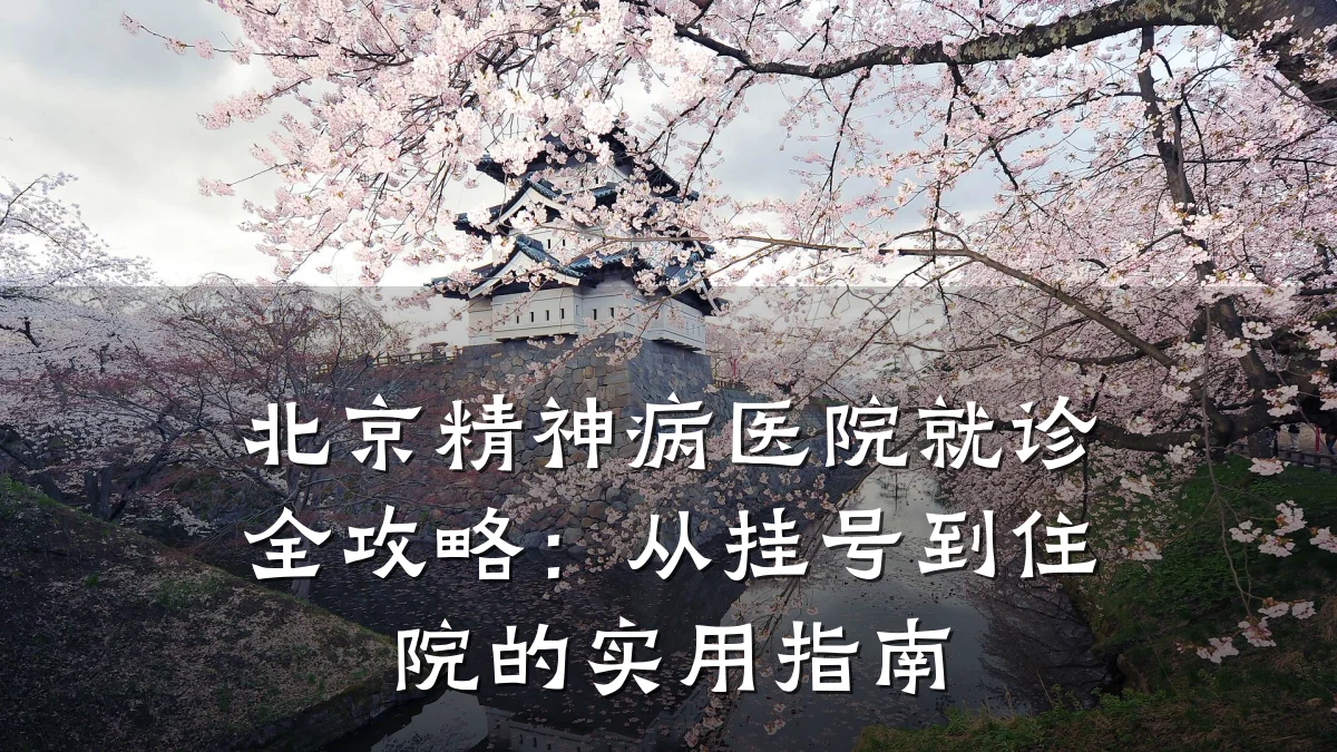 北京精神病医院就诊全攻略:从挂号到住院的实用指南