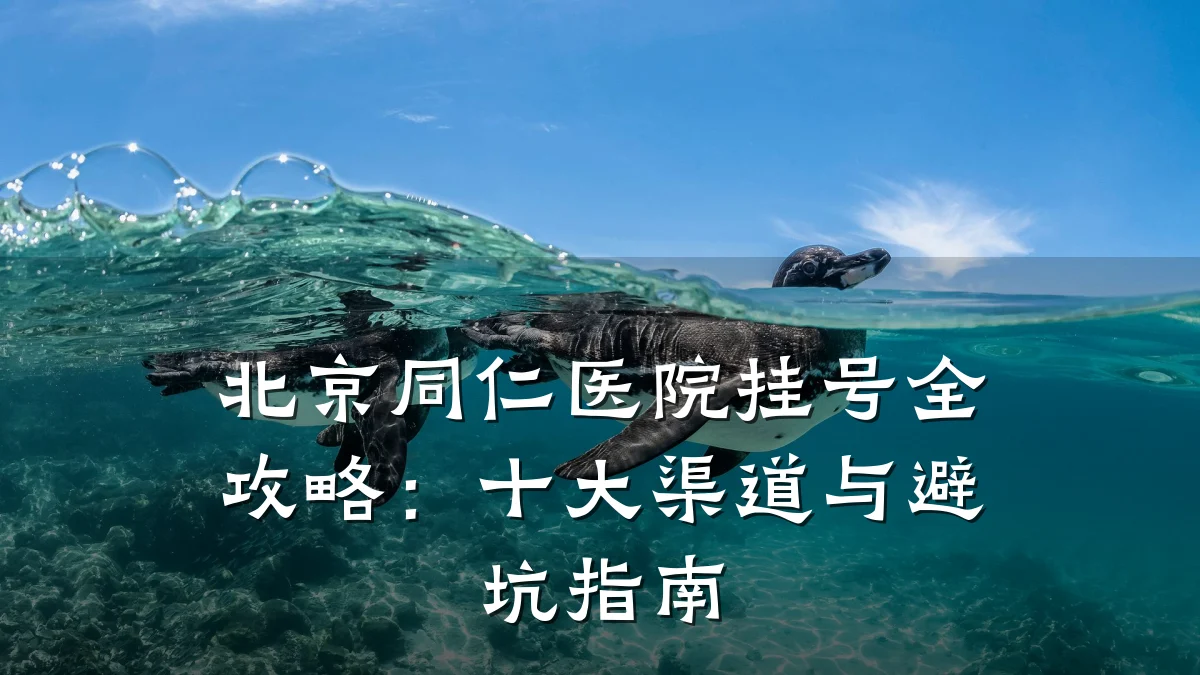 北京同仁医院挂号全攻略:十大渠道与避坑指南