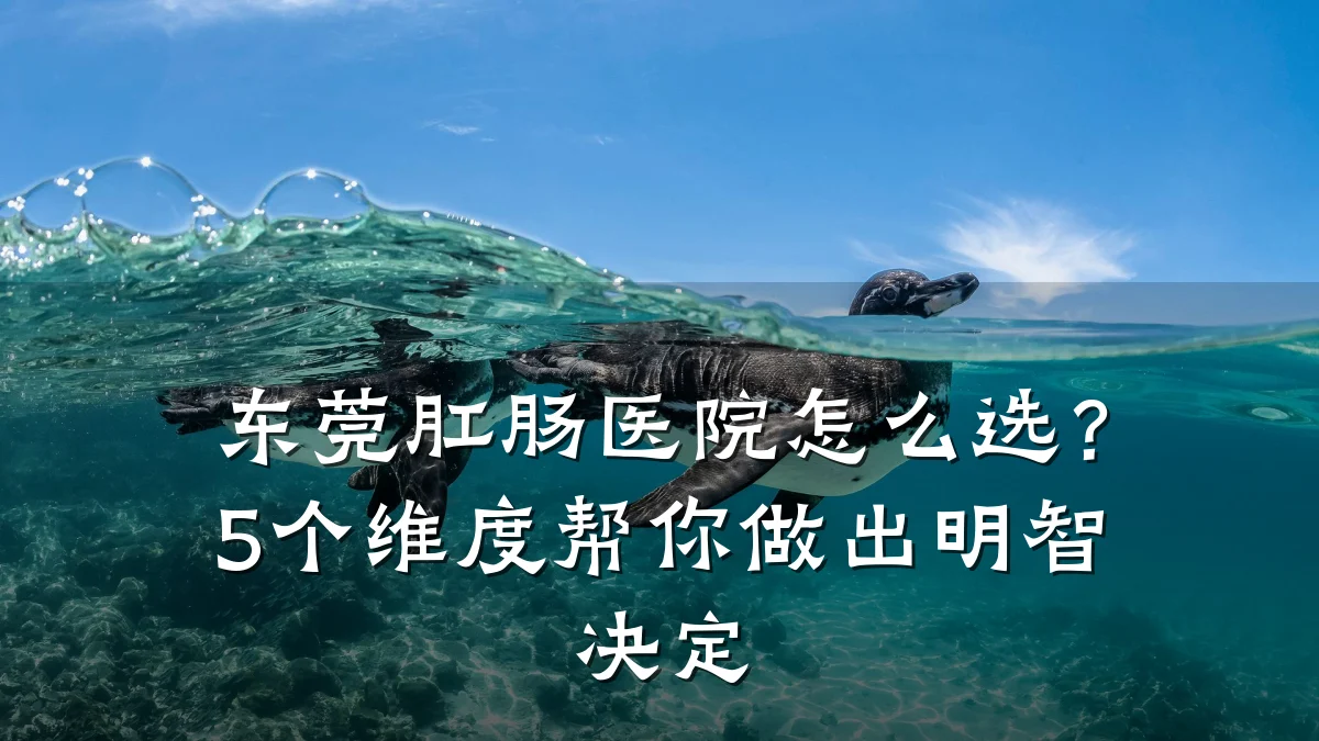 东莞肛肠医院怎么选?5个维度帮你做出明智决定