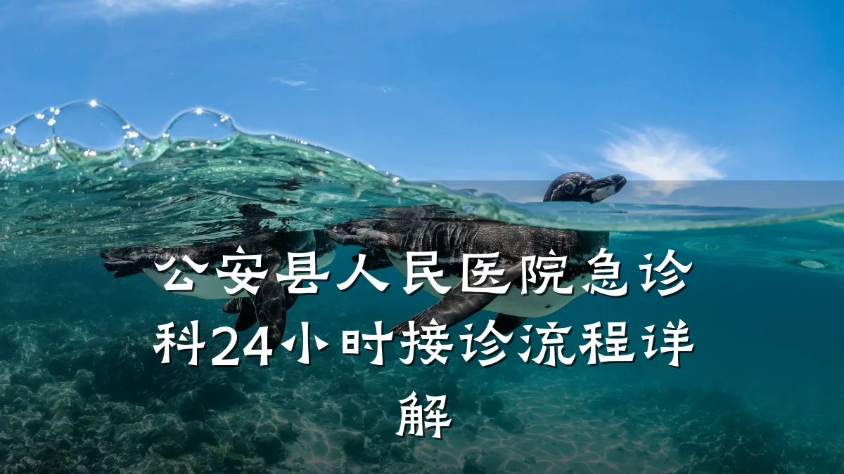 公安县人民医院急诊科24小时接诊流程详解