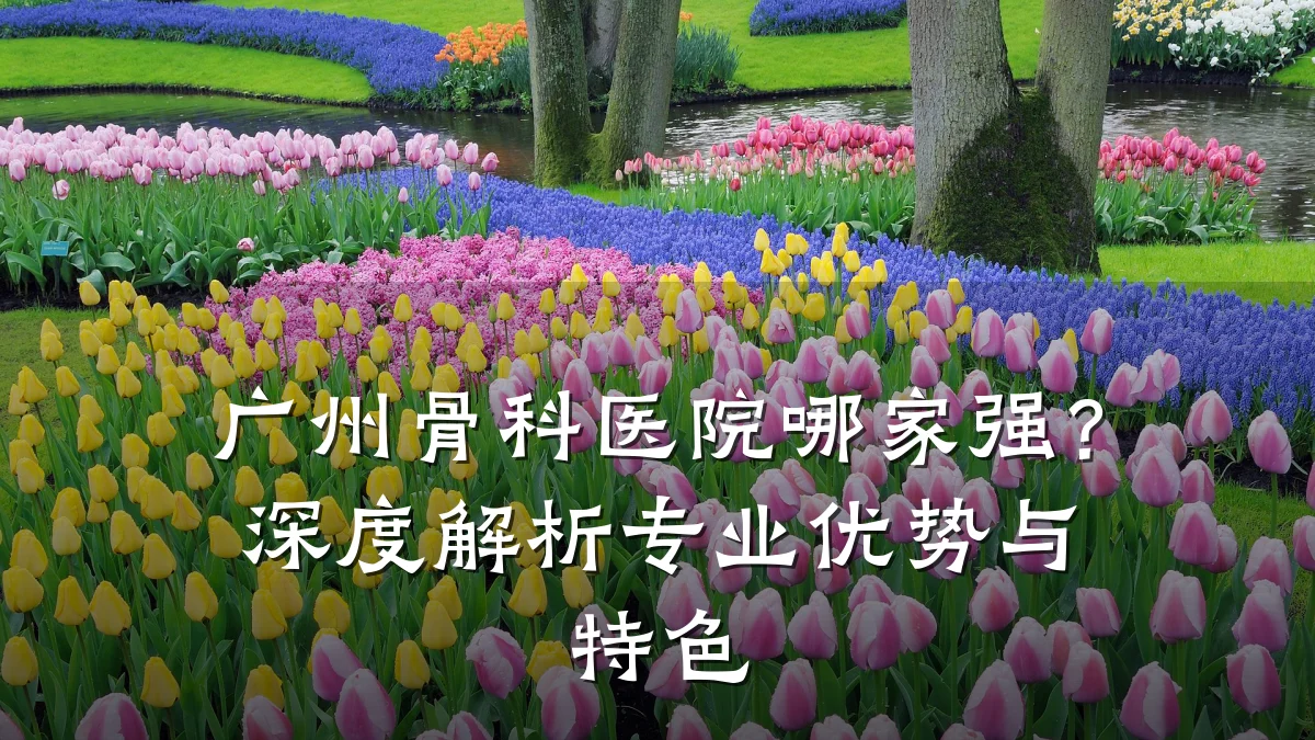 广州骨科医院哪家强?深度解析专业优势与特色