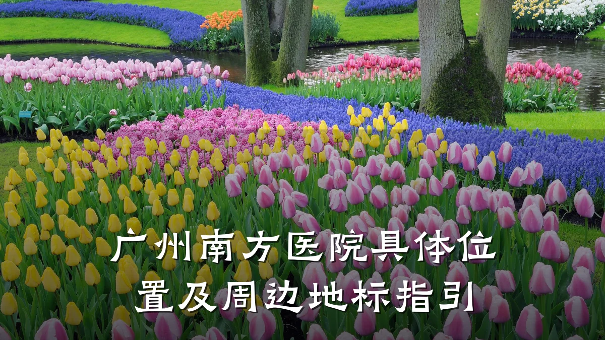 广州南方医院具体位置及周边地标指引