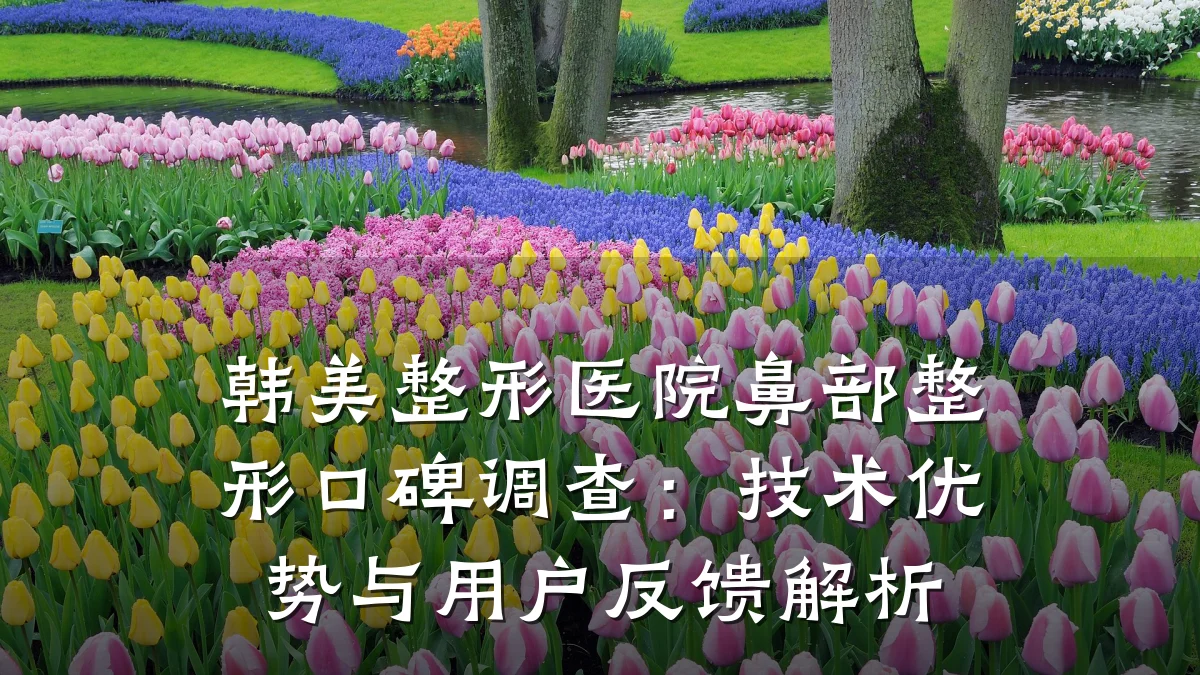 韩美整形医院鼻部整形口碑调查:技术优势与用户反馈解析