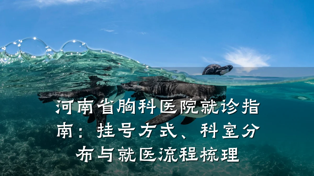 河南省胸科医院就诊指南：挂号方式、科室分布与就医流程梳理