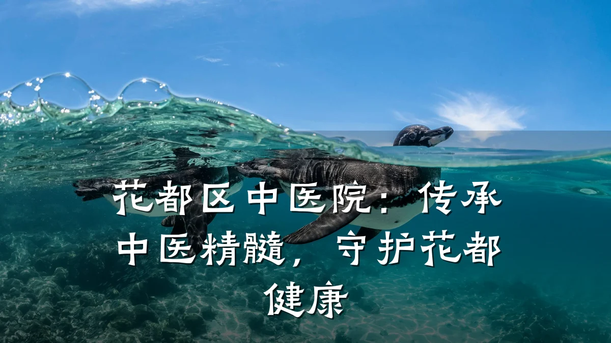 花都区中医院:传承中医精髓,守护花都健康