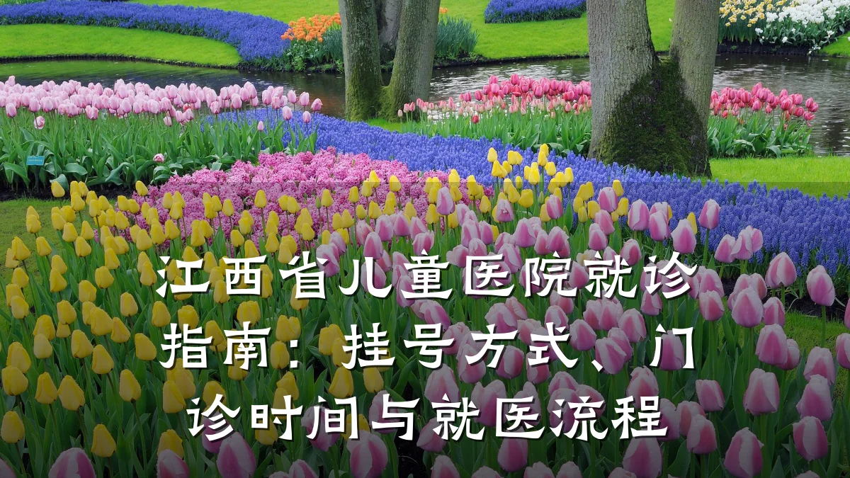 江西省儿童医院就诊指南:挂号方式、门诊时间与就医流程