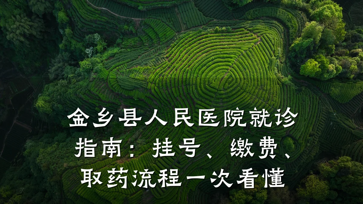 金乡县人民医院就诊指南:挂号、缴费、取药流程一次看懂