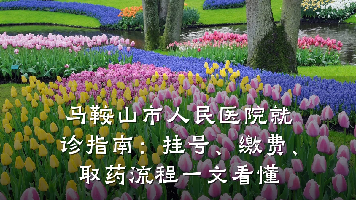 马鞍山市人民医院就诊指南:挂号、缴费、取药流程一文看懂