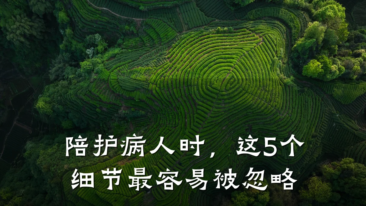 陪护病人时,这5个细节最容易被忽略