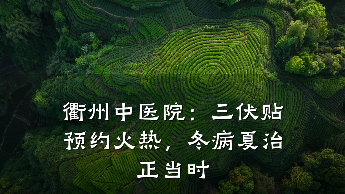 衢州中医院：三伏贴预约火热，冬病夏治正当时