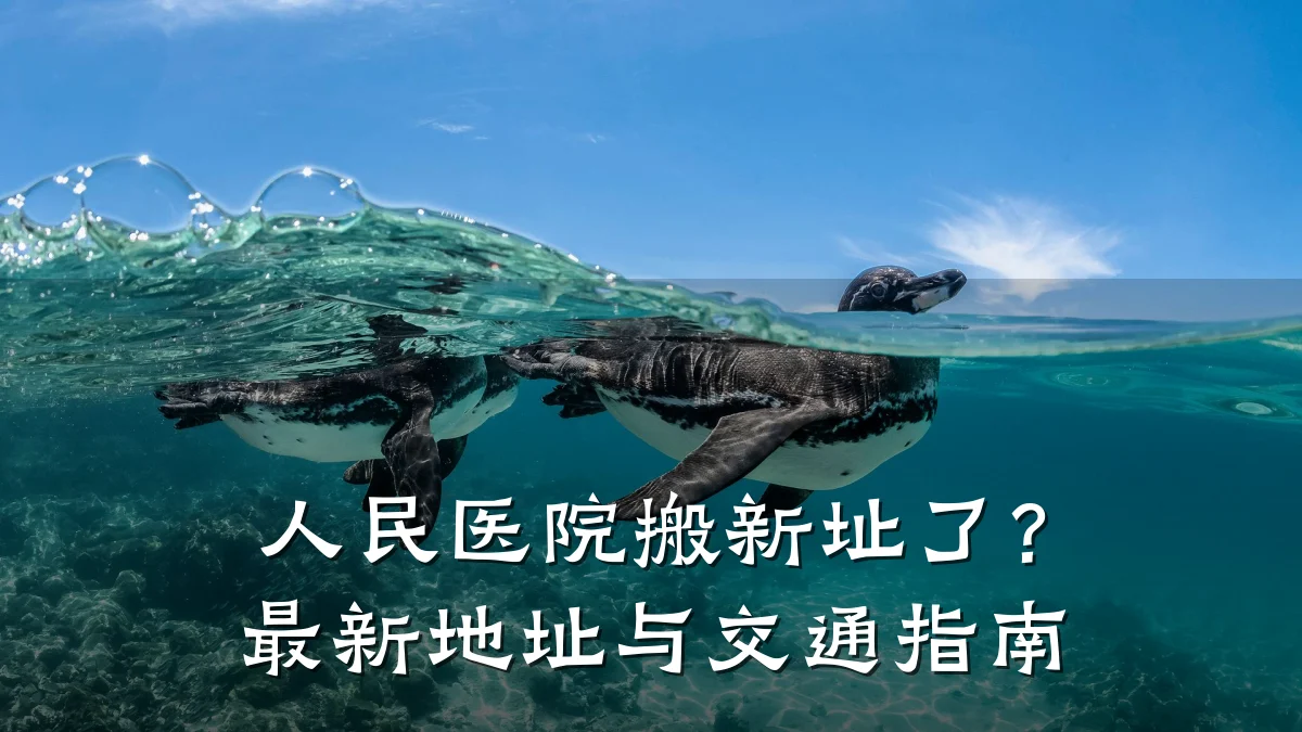 人民医院搬新址了?最新地址与交通指南