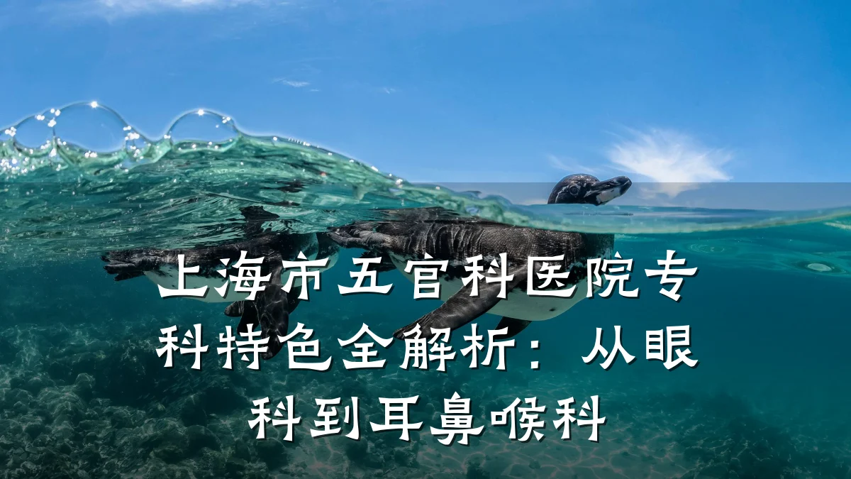 上海市五官科医院专科特色全解析：从眼科到耳鼻喉科