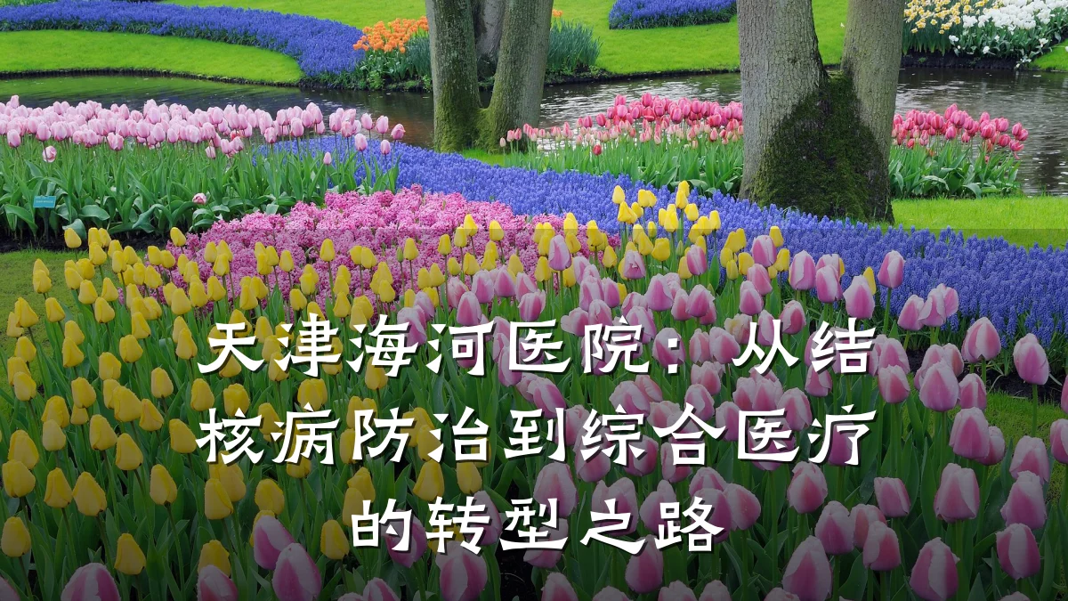 天津海河医院：从结核病防治到综合医疗的转型之路