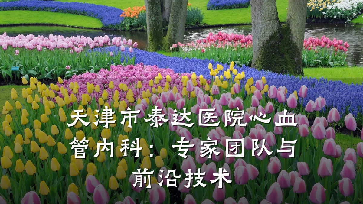天津市泰达医院心血管内科：专家团队与前沿技术