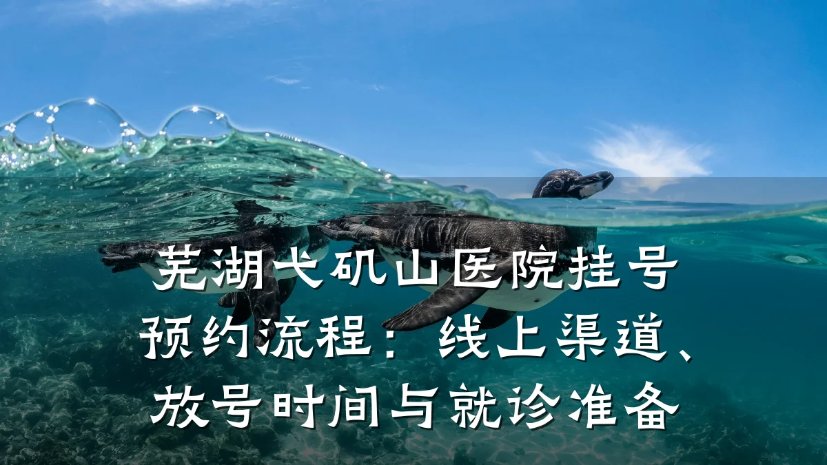 芜湖弋矶山医院挂号预约流程：线上渠道、放号时间与就诊准备