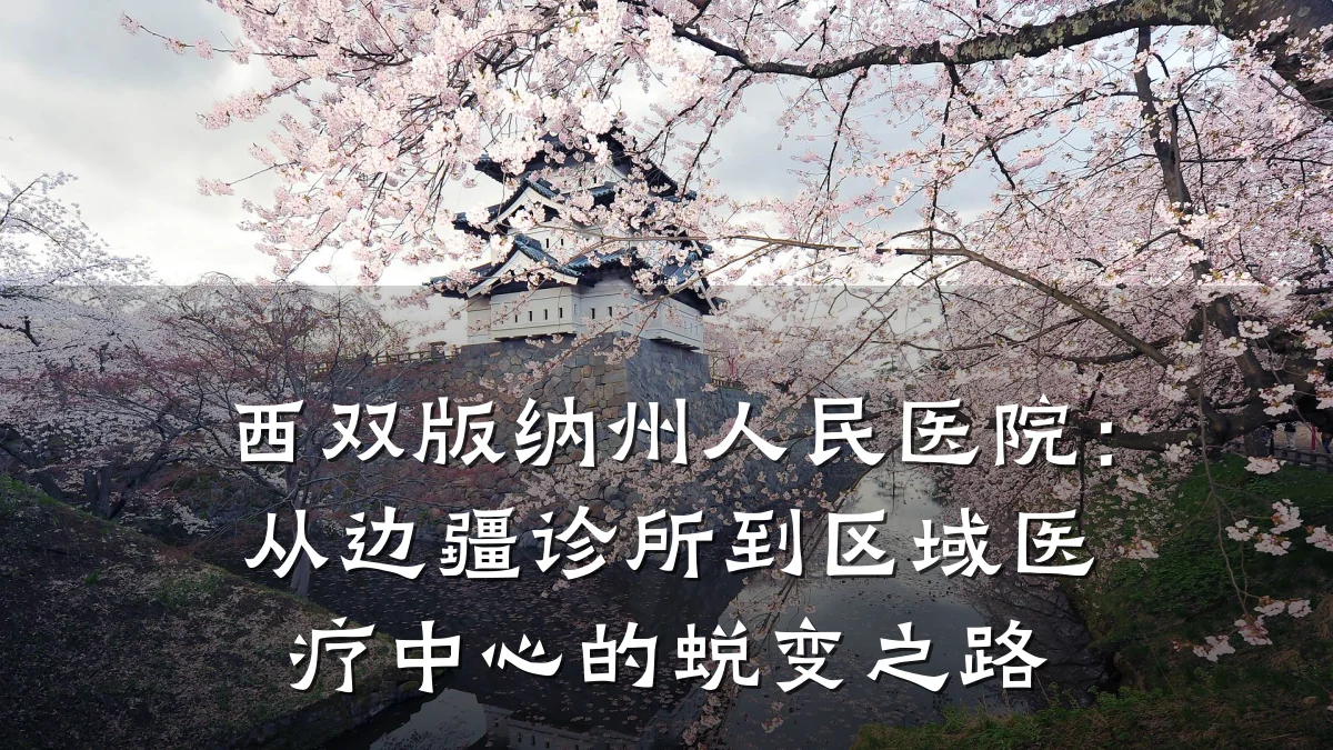 西双版纳州人民医院:从边疆诊所到区域医疗中心的蜕变之路