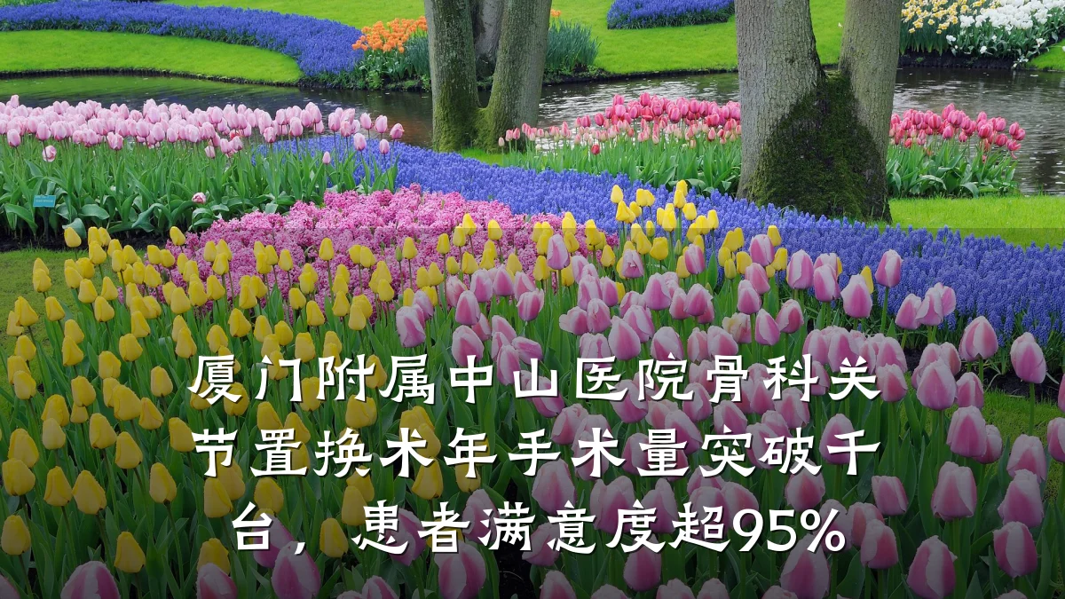 厦门附属中山医院骨科关节置换术年手术量突破千台,患者满意度超95%