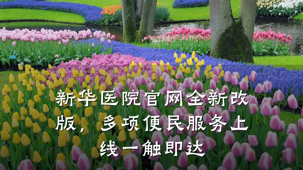 新华医院官网全新改版,多项便民服务上线一触即达