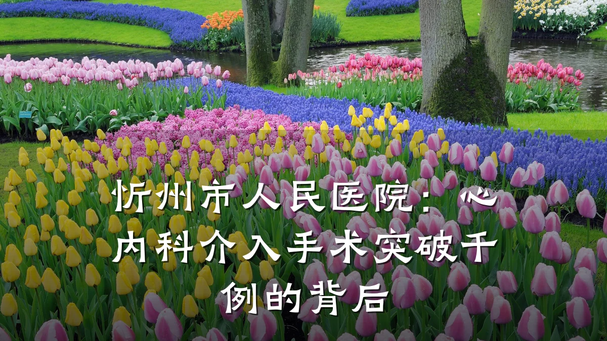 忻州市人民医院:心内科介入手术突破千例的背后