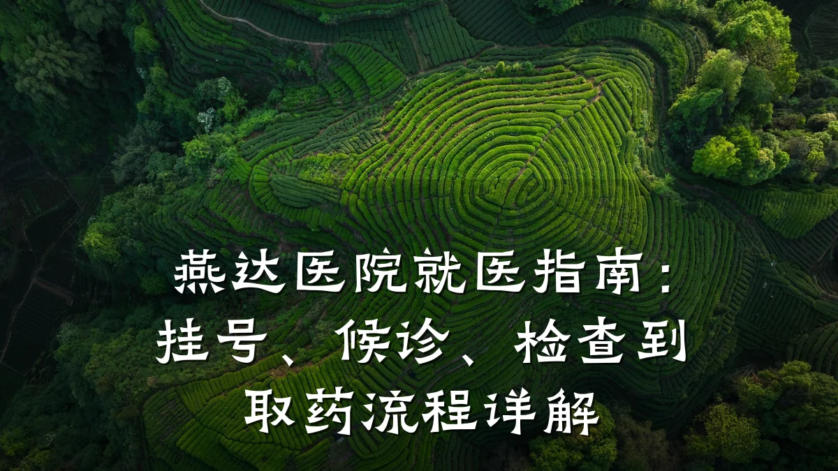 燕达医院就医指南:挂号、候诊、检查到取药流程详解