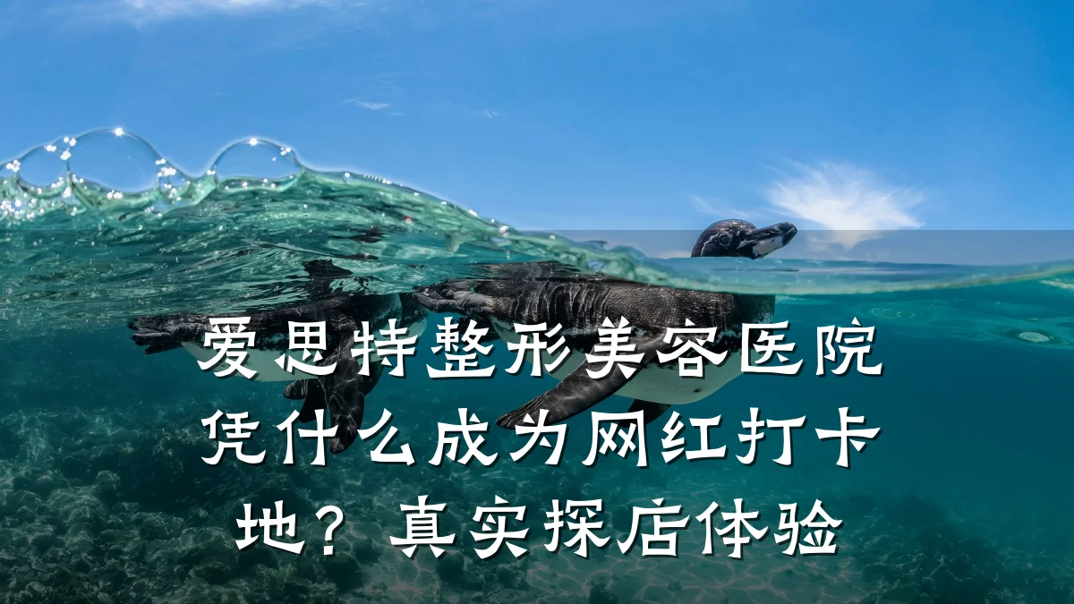 爱思特整形美容医院凭什么成为网红打卡地？真实探店体验