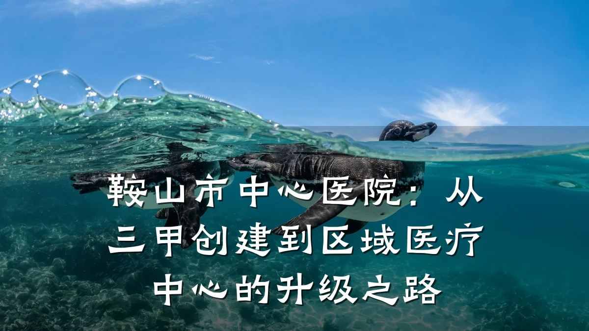 鞍山市中心医院:从三甲创建到区域医疗中心的升级之路