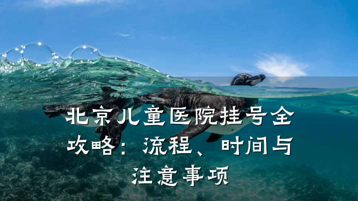 北京儿童医院挂号全攻略：流程、时间与注意事项