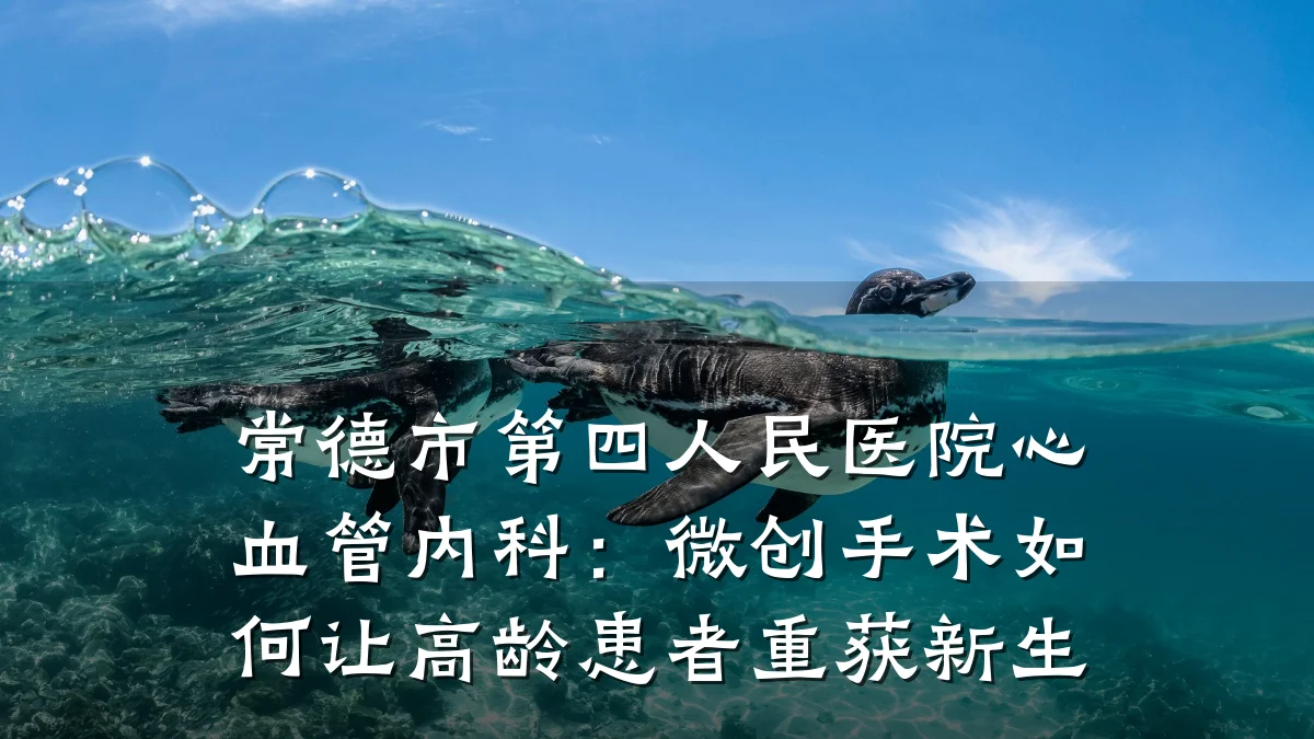 常德市第四人民医院心血管内科:微创手术如何让高龄患者重获新生