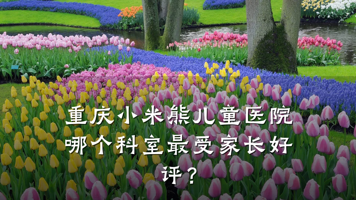 重庆小米熊儿童医院哪个科室最受家长好评?