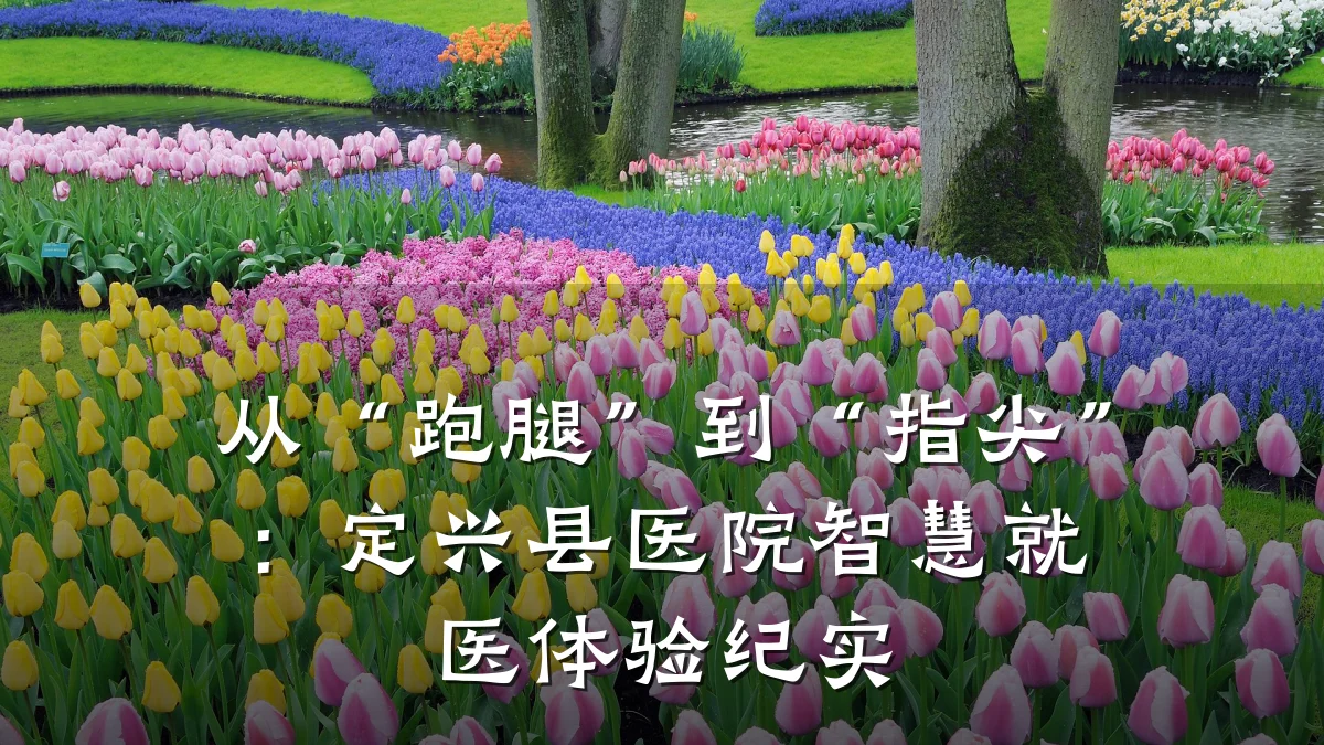 从“跑腿”到“指尖”:定兴县医院智慧就医体验纪实