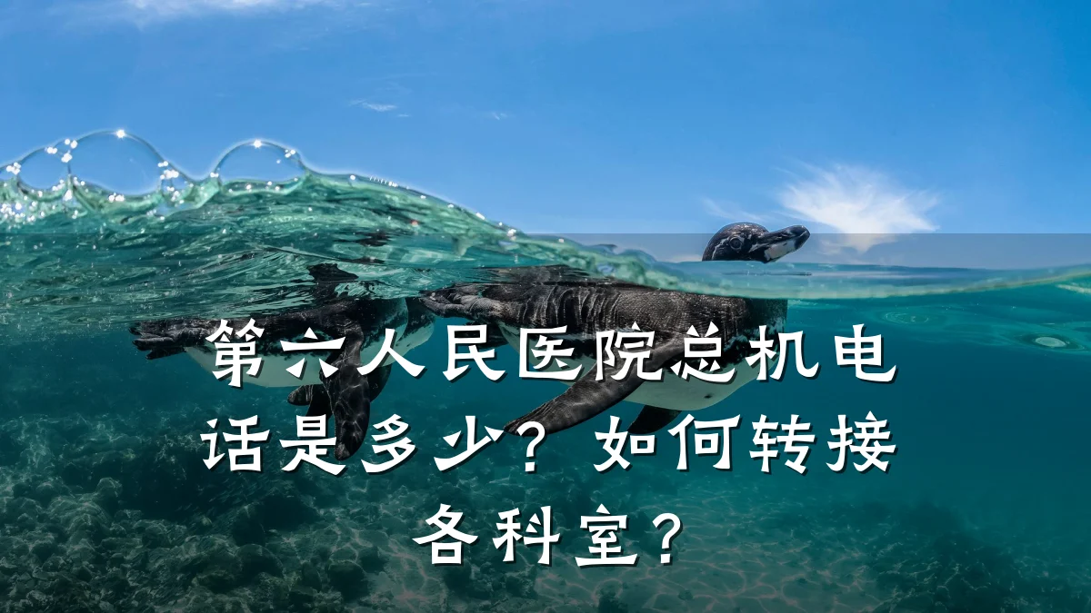 第六人民医院总机电话是多少?如何转接各科室?