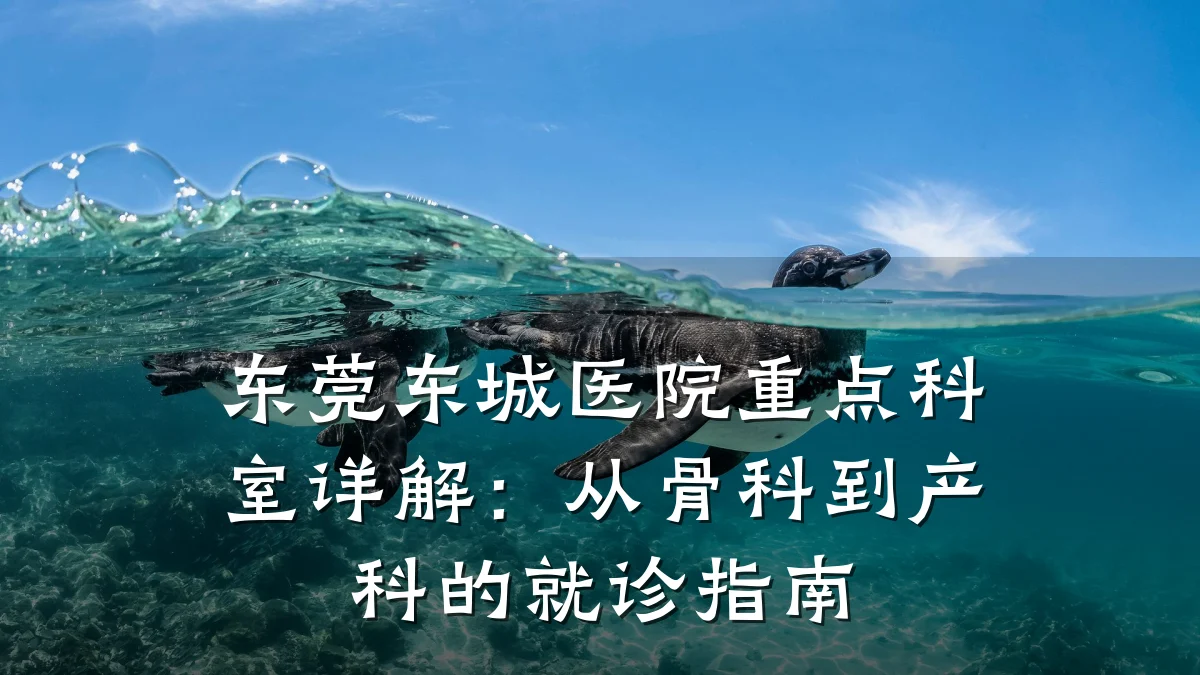 东莞东城医院重点科室详解：从骨科到产科的就诊指南