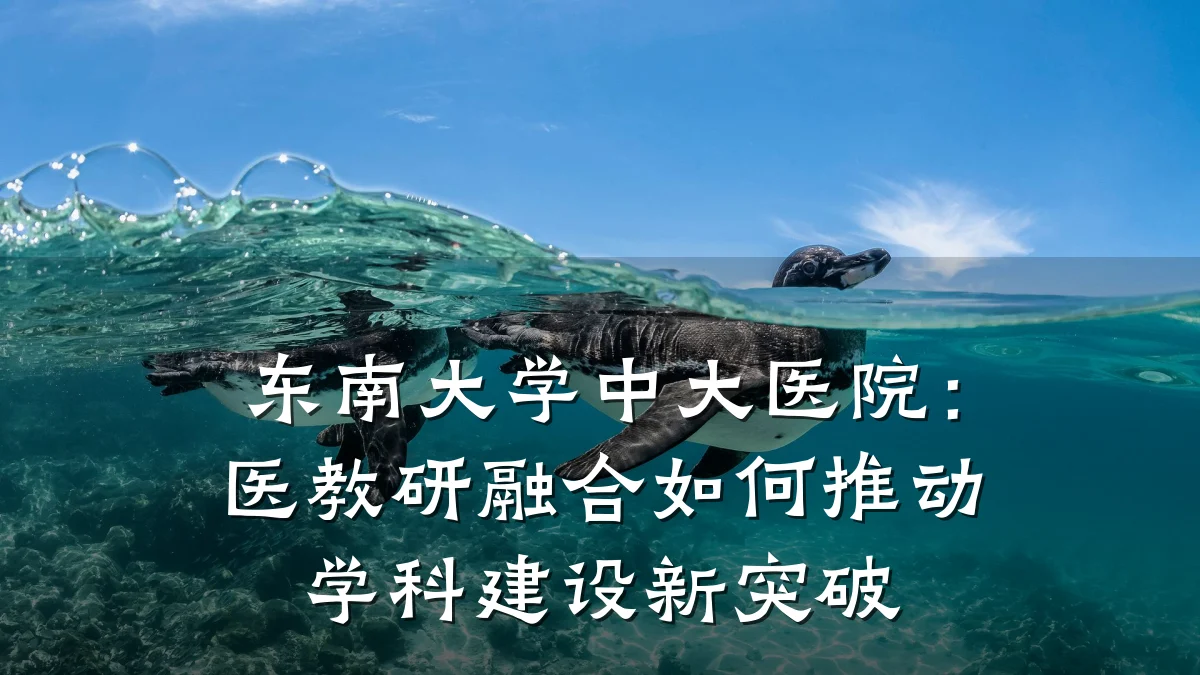 东南大学中大医院：医教研融合如何推动学科建设新突破