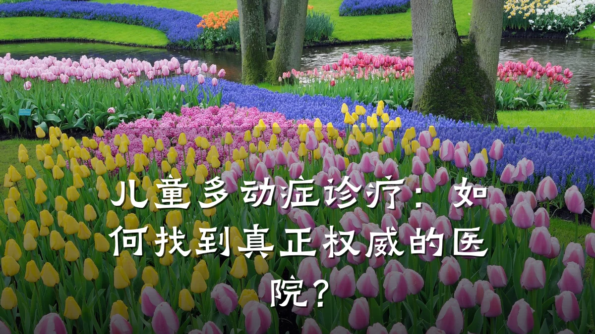儿童多动症诊疗:如何找到真正权威的医院?