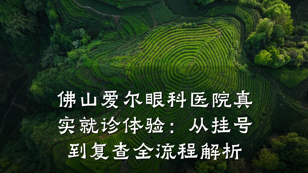 佛山爱尔眼科医院真实就诊体验:从挂号到复查全流程解析