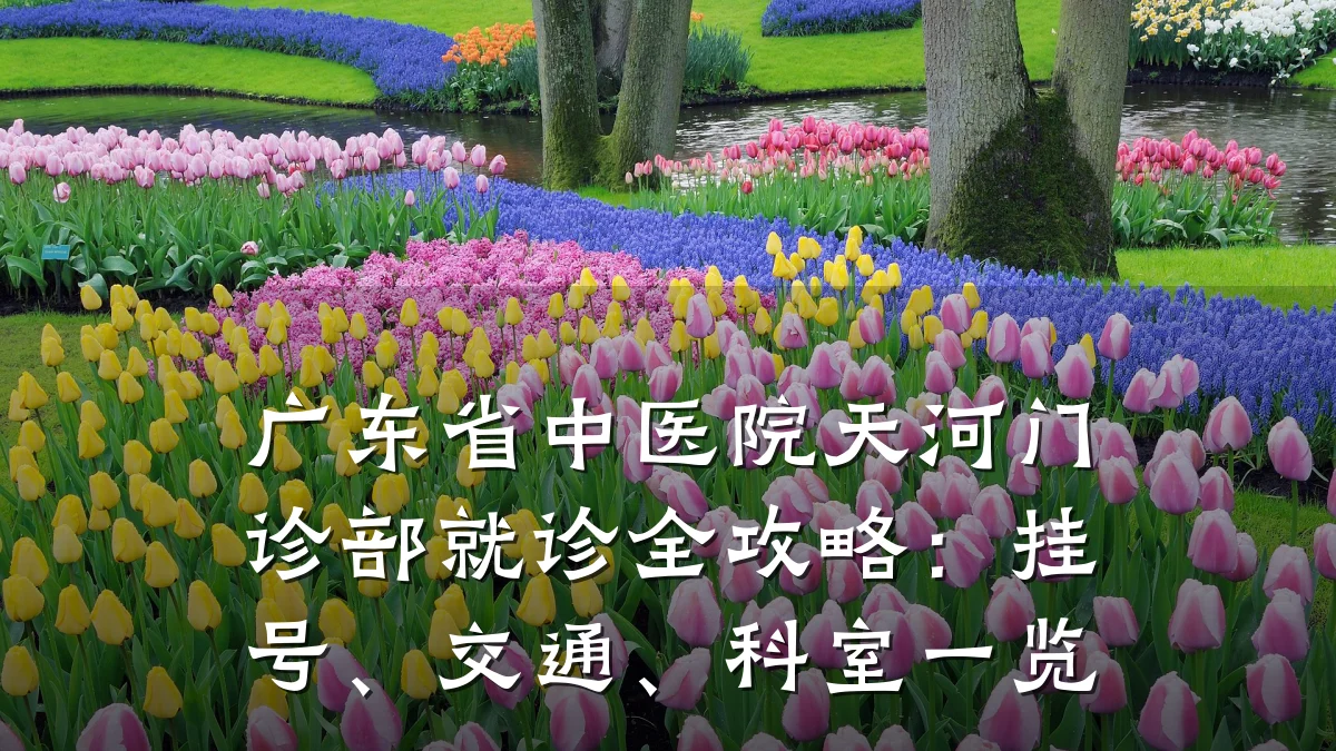广东省中医院天河门诊部就诊全攻略:挂号、交通、科室一览