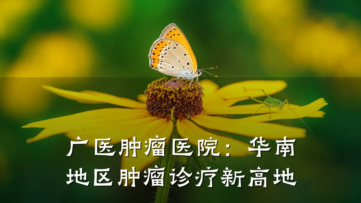 广医肿瘤医院:华南地区肿瘤诊疗新高地