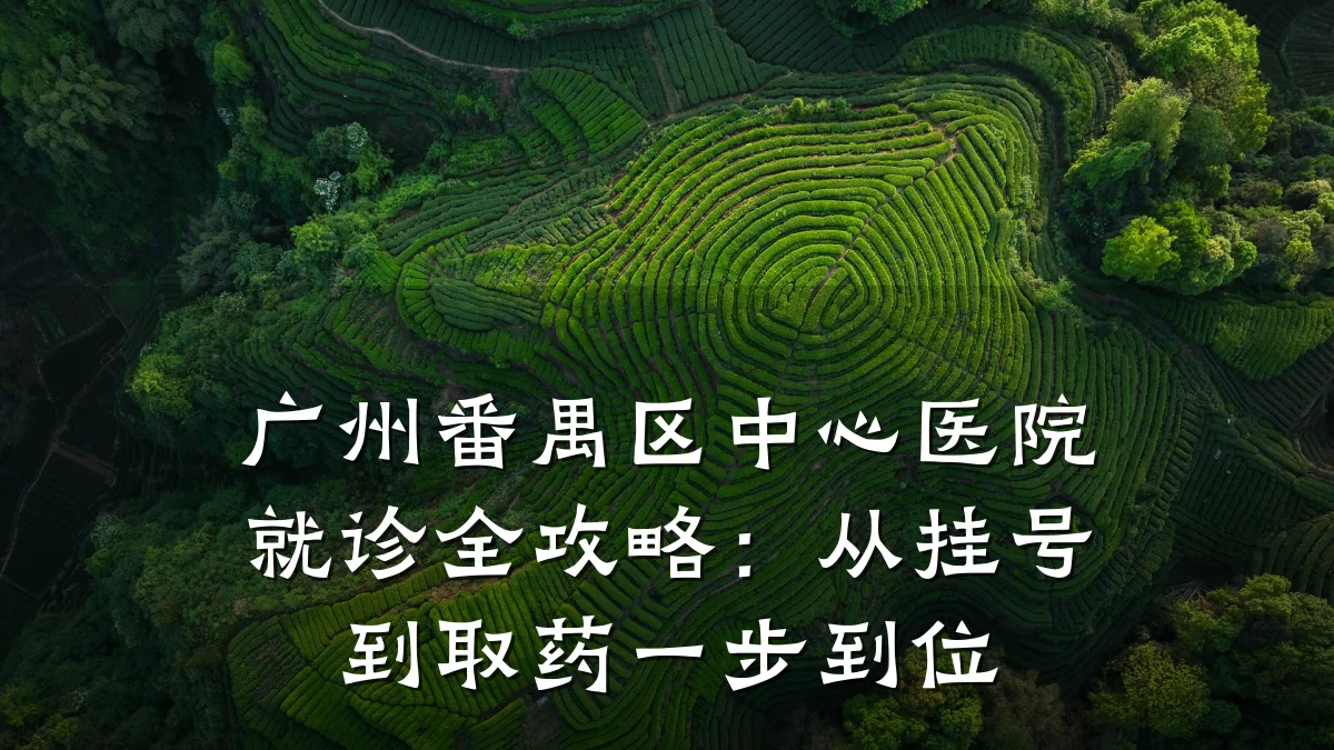 广州番禺区中心医院就诊全攻略：从挂号到取药一步到位
