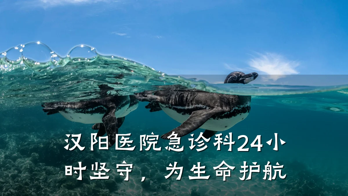 汉阳医院急诊科24小时坚守，为生命护航