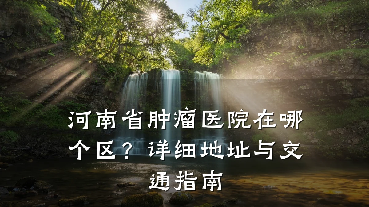 河南省肿瘤医院在哪个区?详细地址与交通指南