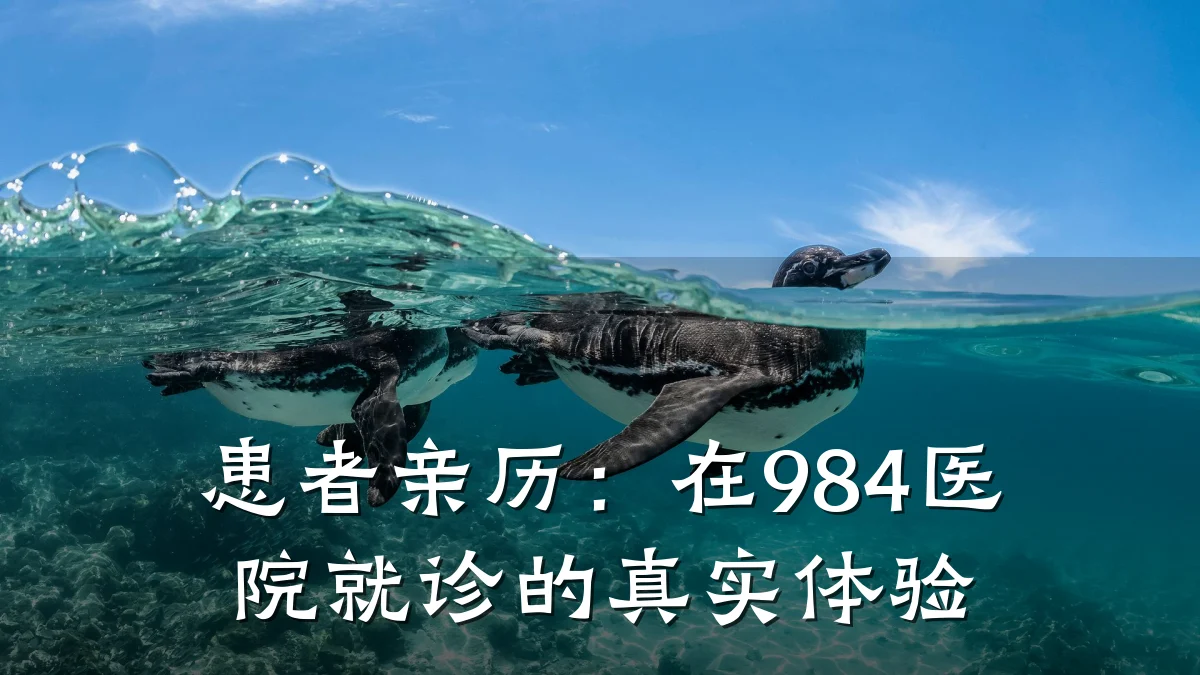 患者亲历:在984医院就诊的真实体验