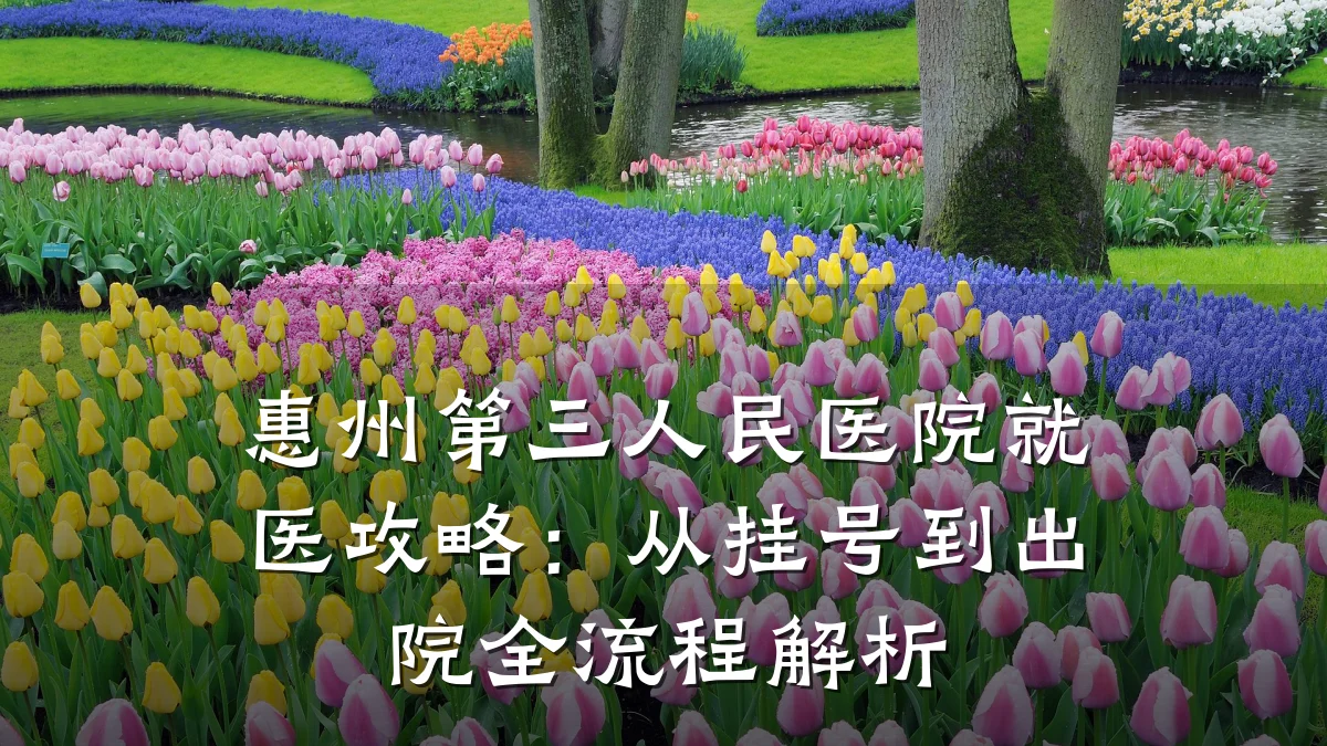 惠州第三人民医院就医攻略:从挂号到出院全流程解析